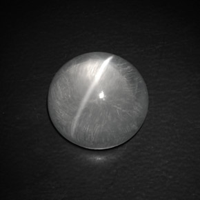 Quartz cat's eye blanc naturelle coupe roude, 9,02 ct, transparent