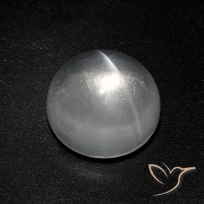 7.77ct Naturel Blanc clair Quartz Œil de Chat, Tour, Transparent