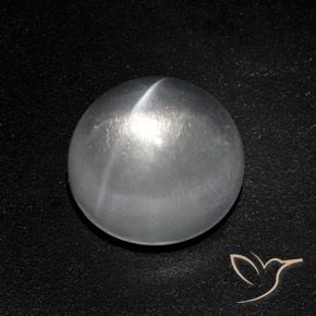 Quartz Œil de Chat Blanc clair naturelle Tour, 7.77 ct, Transparent