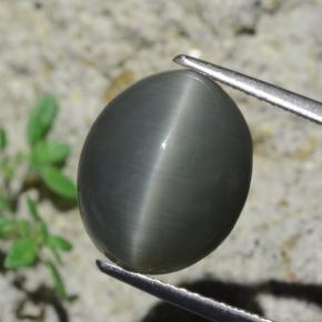 Quartz cat's eye gris naturelle coupe ovale, 7,96 ct, opaque