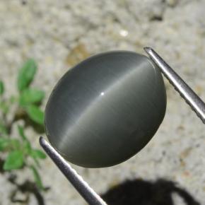 Quartz cat's eye gris naturelle coupe ovale, 7,96 ct, opaque