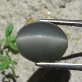 Quartz cat's eye gris naturelle coupe ovale, 7,96 ct, opaque
