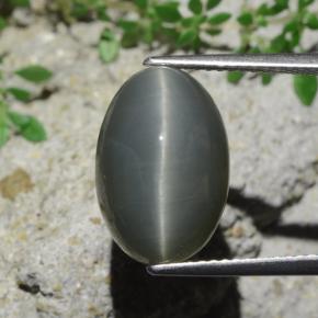 Quartz Œil de Chat Vert naturelle Coupe ovale, 9.07 ct, Opaque