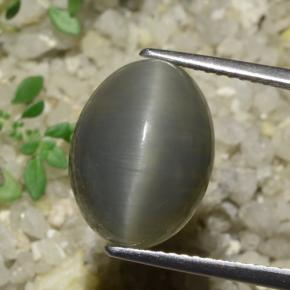 Quartz Œil de Chat Gris vert naturelle Coupe ovale, 8.08 ct, Translucide