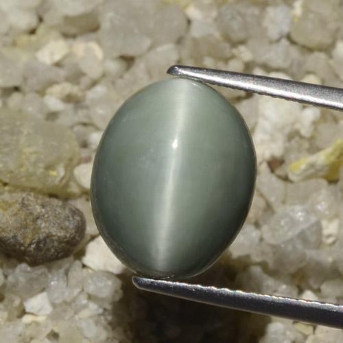 6.06ct Naturel Gris moyen Oeil de Chat Quartz, ovale, Opaque