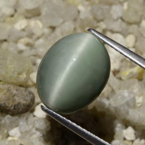 Quartz Œil de Chat Gris moyen naturelle ovale, 6.06 ct, Opaque