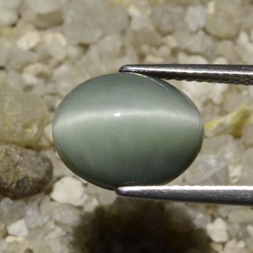 Quartz Œil de Chat Gris moyen naturelle ovale, 6.06 ct, Opaque