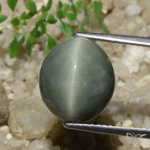 7.74ct Naturel Gris moyen Quartz Œil de Chat, ovale, Opaque