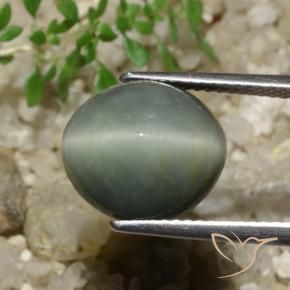 Quartz Œil de Chat Gris moyen naturelle ovale, 7.74 ct, Opaque