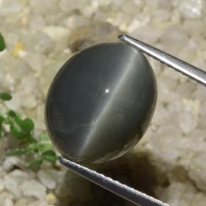 Quartz Œil de Chat Gris foncé naturelle Coupe ovale, 7.89 ct, Opaque
