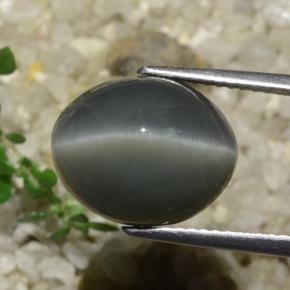 Quartz Œil de Chat Gris foncé naturelle Coupe ovale, 7.89 ct, Opaque