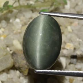 Quartz Œil de Chat Gris moyen naturelle Coupe ovale, 8.78 ct, Opaque