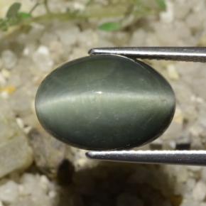 Quartz Œil de Chat Gris moyen naturelle Coupe ovale, 8.78 ct, Opaque