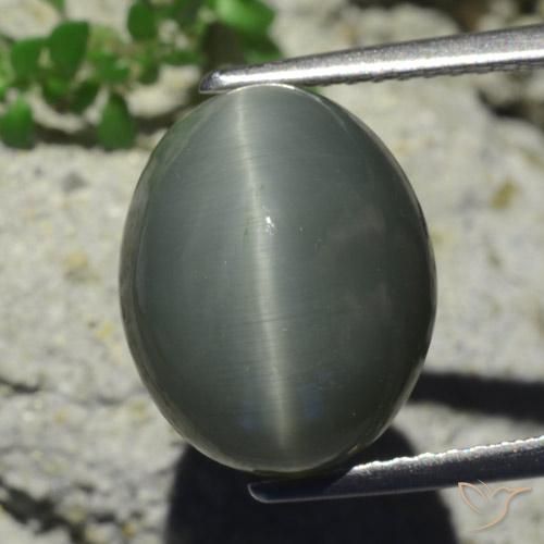 7.28ct Naturel Gris verdâtre pâle Quartz Œil de Chat, ovale, Opaque
