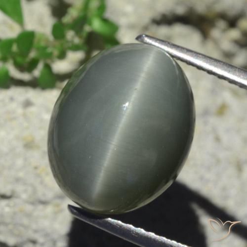 Quartz Œil de Chat Gris verdâtre pâle naturelle ovale, 7.28 ct, Opaque