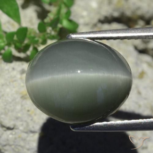 Quartz Œil de Chat Gris verdâtre pâle naturelle ovale, 7.28 ct, Opaque