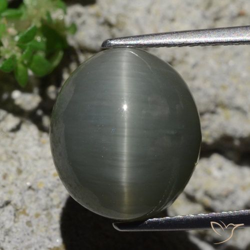 8.02ct Naturel Gris verdâtre pâle Oeil de Chat Quartz, ovale, Opaque