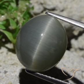 Quartz Œil de Chat Gris verdâtre pâle naturelle ovale, 8.02 ct, Opaque