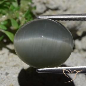 Quartz Œil de Chat Gris verdâtre pâle naturelle ovale, 8.02 ct, Opaque