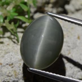 Quartz Œil de Chat Gris verdâtre pâle naturelle Coupe ovale, 6.12 ct, Opaque