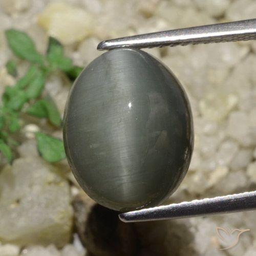6.65ct Naturel Gris moyen Quartz Œil de Chat, ovale, Opaque