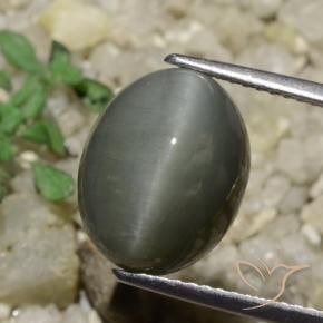 Quartz Œil de Chat Gris moyen naturelle ovale, 6.65 ct, Opaque