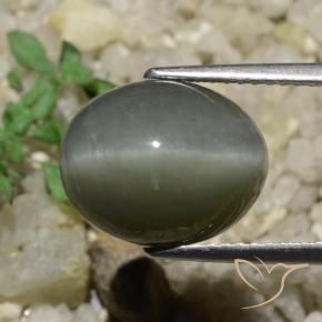 Quartz Œil de Chat Gris moyen naturelle ovale, 6.65 ct, Opaque