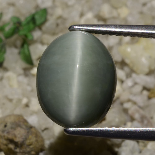 Quartz Œil de Chat Gris verdâtre naturelle Coupe ovale, 5.82 ct, Translucide