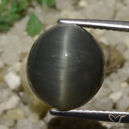 6.05ct Naturel Gris acier Quartz Œil de Chat, ovale, Opaque
