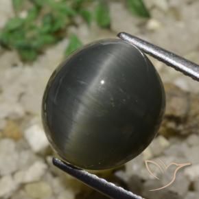 Quartz Œil de Chat Gris acier naturelle ovale, 6.05 ct, Opaque