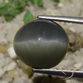 Quartz Œil de Chat Gris acier naturelle ovale, 6.05 ct, Opaque