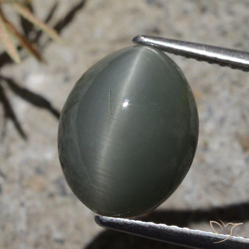 7.32ct Naturel Gris foncé Quartz Œil de Chat, ovale, Opaque