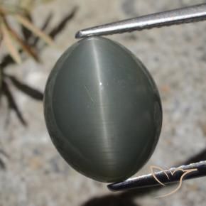 Quartz Œil de Chat Gris foncé naturelle ovale, 7.32 ct, Opaque