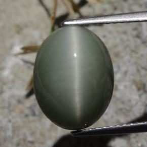 Quartz Œil de Chat Gris verdâtre naturelle Coupe ovale, 7.21 ct, Opaque