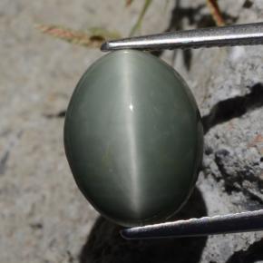Quartz Œil de Chat Vert naturelle Coupe ovale, 5.29 ct, Opaque