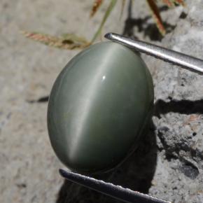 Quartz Œil de Chat Vert naturelle Coupe ovale, 5.29 ct, Opaque