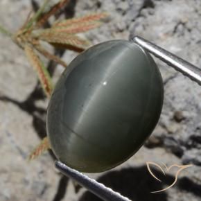 Quartz Œil de Chat Gris foncé naturelle ovale, 6.97 ct, Opaque
