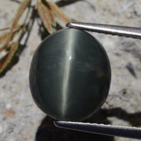 Quartz Œil de Chat Vert foncé naturelle Coupe ovale, 6.15 ct, Opaque