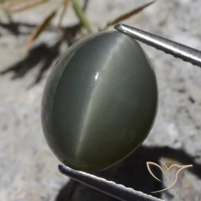 Quartz Œil de Chat Gris foncé naturelle ovale, 8.10 ct, Opaque
