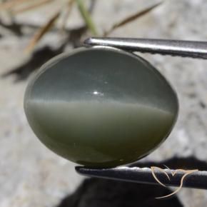 Quartz Œil de Chat Gris foncé naturelle ovale, 8.10 ct, Opaque