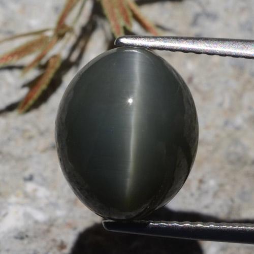 Quartz Œil de Chat Gris foncé naturelle Coupe ovale, 7.26 ct, Opaque