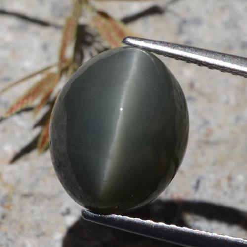 Quartz Œil de Chat Gris foncé naturelle Coupe ovale, 7.26 ct, Opaque