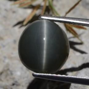 Quartz Œil de Chat Vert naturelle Coupe ovale, 5.62 ct, Opaque