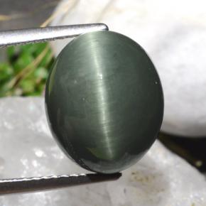 Quartz Œil de Chat Vert naturelle Coupe ovale, 7.61 ct, Opaque
