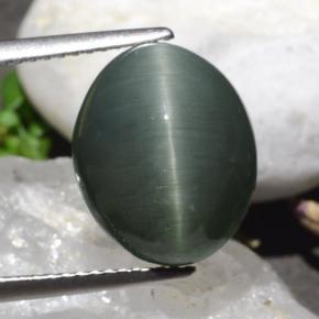 Quartz Œil de Chat Gris moyen naturelle Coupe ovale, 9.50 ct, Opaque