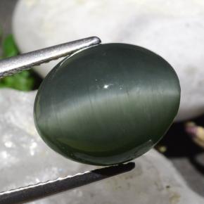 Quartz Œil de Chat Gris moyen naturelle Coupe ovale, 9.50 ct, Opaque