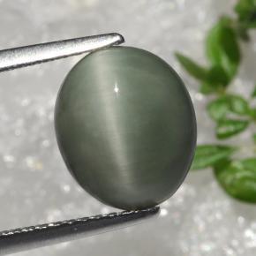 Quartz Œil de Chat Vert naturelle Coupe ovale, 3.66 ct, Opaque