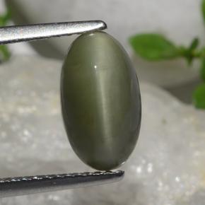 Quartz Œil de Chat Vert naturelle Coupe ovale, 2.64 ct, Opaque