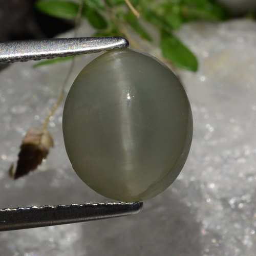 Quartz cat's eye gris naturelle coupe ovale, 2,99 ct, translucide