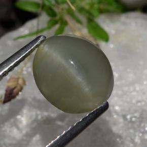 Quartz cat's eye gris naturelle coupe ovale, 2,99 ct, translucide